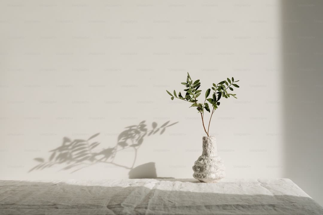 那尔那茜涉嫌高考报名资料造假 三部待播著作或受牵连